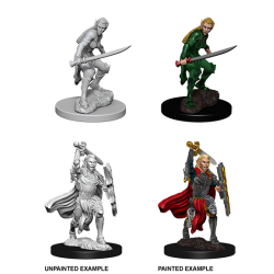 D&D Nolzur's Marvelous Miniatures: Elf Fighter