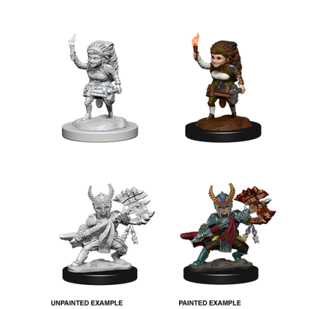 D&D Nolzur's Marvelous Miniatures: Halfling Fighter