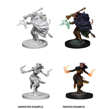 D&D Nolzur's Marvelous Miniatures: Tiefling Warlock