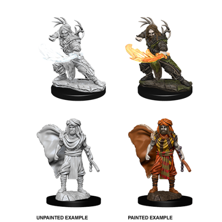 D&D Nolzur's Marvelous Miniatures: Human Druid