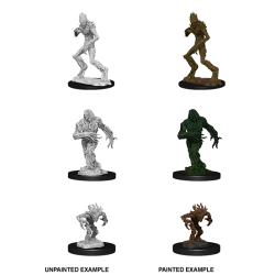 D&D Nolzur's Marvelous Miniatures: Blights