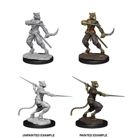 D&D Nolzur's Marvelous Miniatures: Tabaxi Rogue