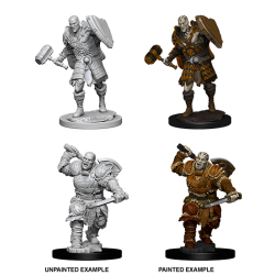 D&D Nolzur's Marvelous Miniatures: Goliath Fighter