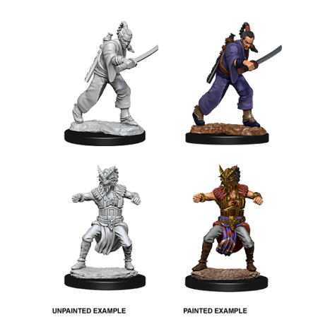 D&D Nolzur's Marvelous Miniatures: Human Monk