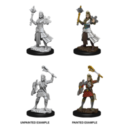D&D Nolzur's Marvelous Miniatures: Human Cleric