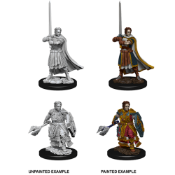 D&D Nolzur's Marvelous Miniatures: Human Cleric