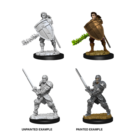 D&D Nolzur's Marvelous Miniatures: Human Fighter