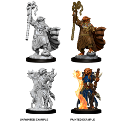 D&D Nolzur's Marvelous Miniatures: Dragonborn Sorcerer