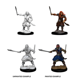 D&D Nolzur's Marvelous Miniatures: Bandits