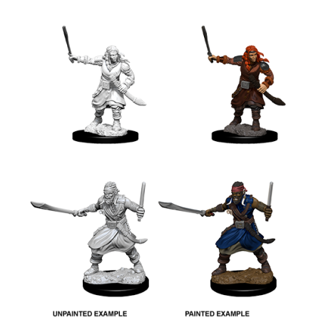 D&D Nolzur's Marvelous Miniatures: Bandits