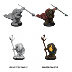 D&D Nolzur's Marvelous Miniatures: Tortles Adventurers