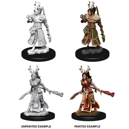 D&D Nolzur's Marvelous Miniatures: Human Druid