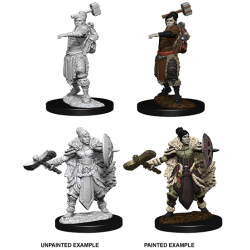 D&D Nolzur's Marvelous Miniatures: Half-Orc Barbarian