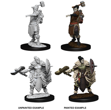 D&D Nolzur's Marvelous Miniatures: Half-Orc Barbarian