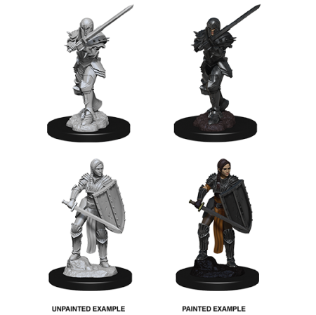 D&D Nolzur's Marvelous Miniatures: Human Fighter