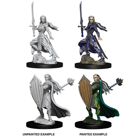 D&D Nolzur's Marvelous Miniatures: Elf Paladin