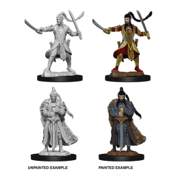 D&D Nolzur's Marvelous Miniatures: Elf Paladin