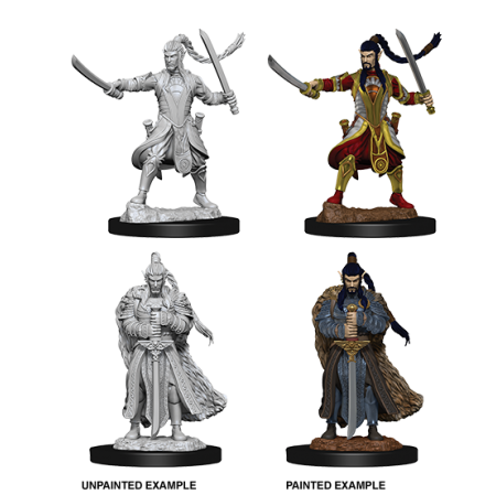 D&D Nolzur's Marvelous Miniatures: Elf Paladin