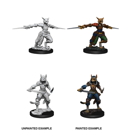D&D Nolzur's Marvelous Miniatures: Tabaxi Rogue