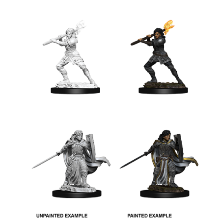 D&D Nolzur's Marvelous Miniatures: Human Paladin