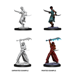 D&D Nolzur's Marvelous Miniatures: Human Rogue
