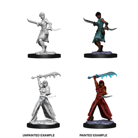 D&D Nolzur's Marvelous Miniatures: Human Rogue