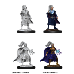 D&D Nolzur's Marvelous Miniatures: Human Sorcerer