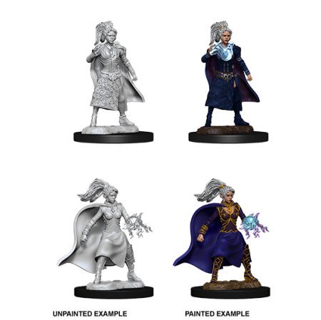 D&D Nolzur's Marvelous Miniatures: Human Sorcerer
