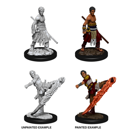 D&D Nolzur's Marvelous Miniatures: Half-Elf Monk