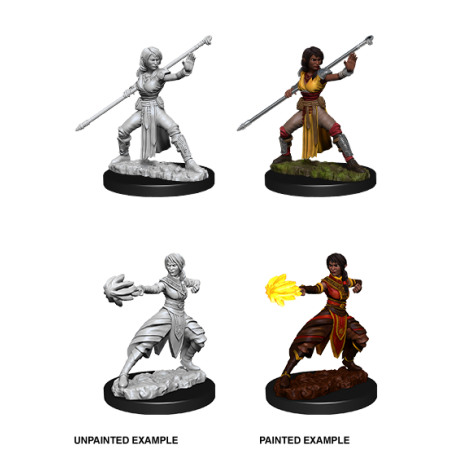 D&D Nolzur's Marvelous Miniatures: Half-Elf Monk