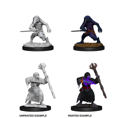 D&D Nolzur's Marvelous Miniatures: Kenku Adventures