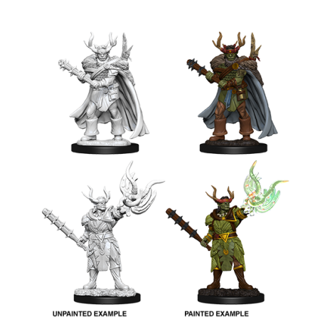 Pathfinder Deep Cuts: Male Half-Orc Druid