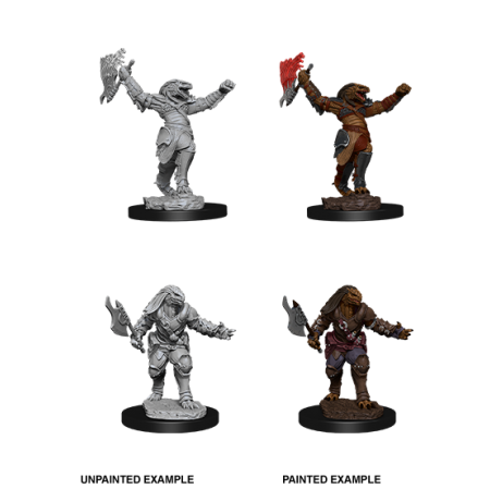 D&D Nolzur's Marvelous Miniatures: Dragonborn Fighter
