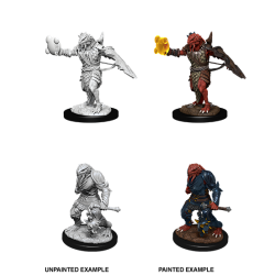 D&D Nolzur's Marvelous Miniatures: Dragonborn Paladin