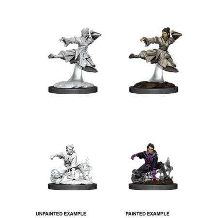 D&D Nolzur's Marvelous Miniatures:Human Monk