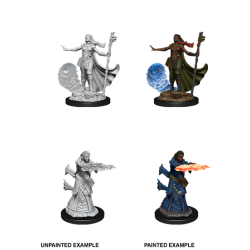 D&D Nolzur's Marvelous Miniatures: Human Wizard