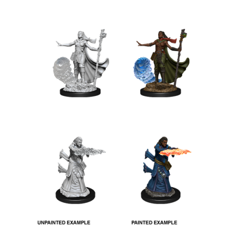 D&D Nolzur's Marvelous Miniatures: Human Wizard