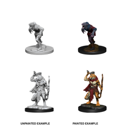 D&D Nolzur's Marvelous Miniatures: Wererat & Weretiger