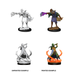 D&D Nolzur's Marvelous Miniatures: Arcanaloth & Ultroloth