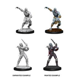 D&D Nolzur's Marvelous Miniatures: Wight & Ghast