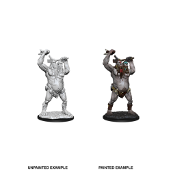 D&D Nolzur's Marvelous Miniatures: Ettin