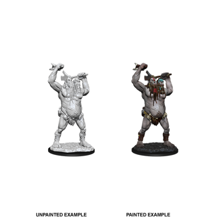 D&D Nolzur's Marvelous Miniatures: Ettin