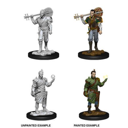 D&D Nolzur's Marvelous Miniatures: Half-Elf Bard