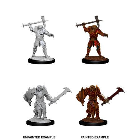 D&D Nolzur's Marvelous Miniatures: Dragonborn Paladin