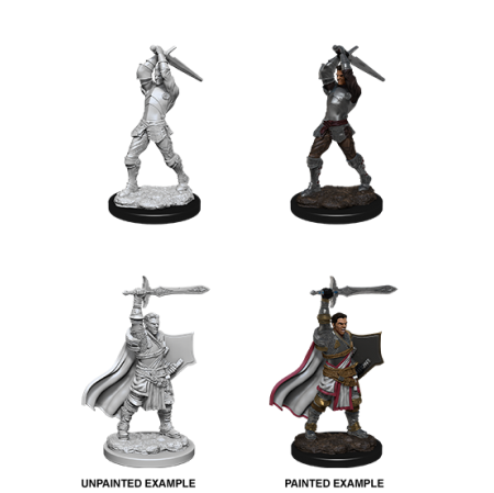 D&D Nolzur's Marvelous Miniatures: Human Paladin