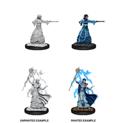 D&D Nolzur's Marvelous Miniatures: Elf Wizard