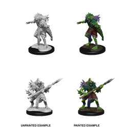 D&D Nolzur's Marvelous Miniatures: Sahuagin
