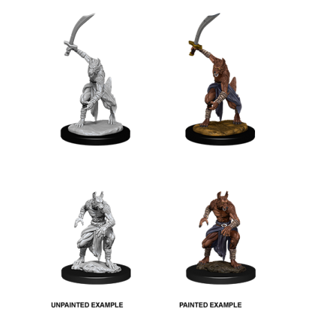 D&D Nolzur's Marvelous Miniatures: Jackalwere
