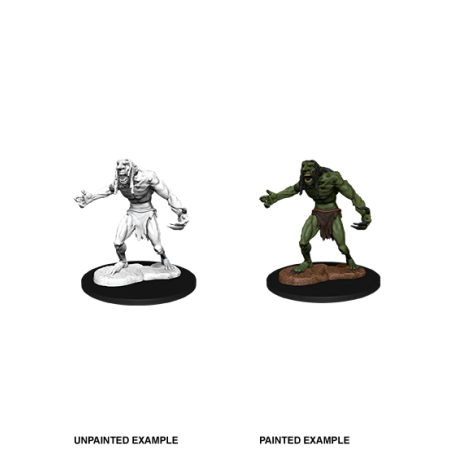 D&D Nolzur's Marvelous Miniatures: Raging Troll
