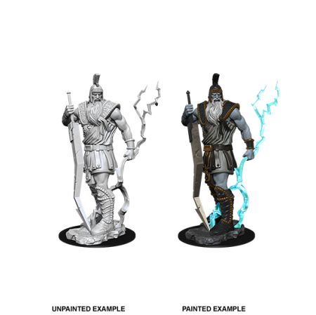 D&D Nolzur's Marvelous Miniatures: Storm Giant